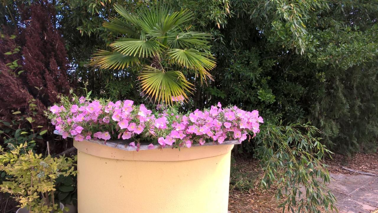 Cavo Paradiso Villa Ασπροβάλτα Εξωτερικό φωτογραφία